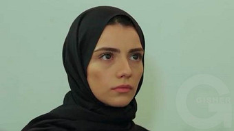 Shirazi varde - seria 45