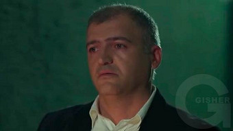 Shirazi varde - seria 49