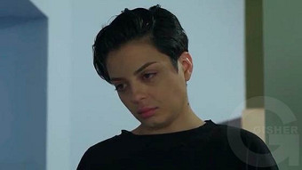 Shirazi varde - seria 47