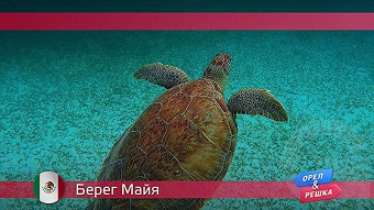 Орел и решка: Берег Майя. Мексика