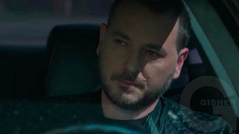 Shirazi varde - seria 55