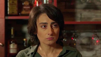 Shirazi varde - seria 56