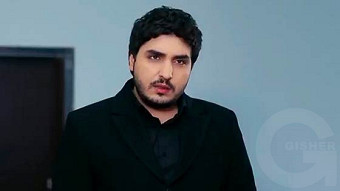 Anhasce tsnvatsner - seria 230