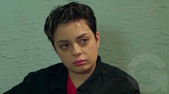 Shirazi varde - seria 52