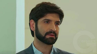 Shirazi varde - seria 53