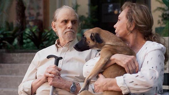 Nor kyanq - seria 17