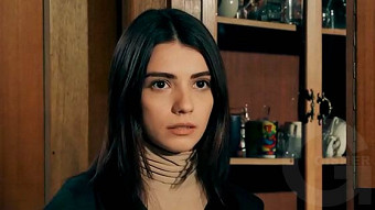 Shirazi varde - seria 12