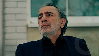 Shirazi varde - seria 13