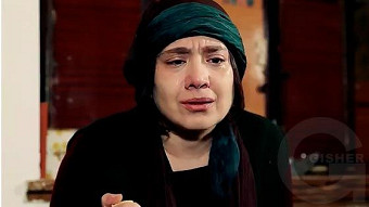 Patvic aravel - seria 38