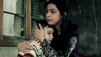 Patvic aravel - seria 42