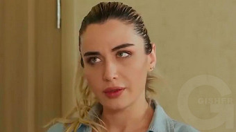 Shirazi varde - seria 59