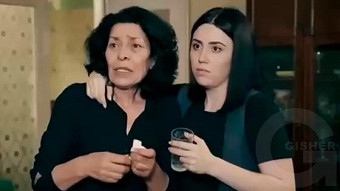 Patvic aravel - seria 71