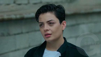 Shirazi varde - seria 63