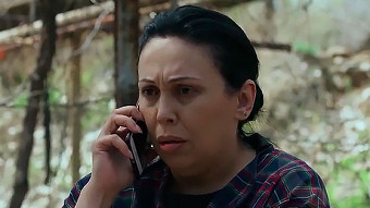 Shirazi varde - seria 64