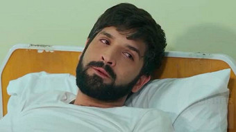 Shirazi varde - seria 104