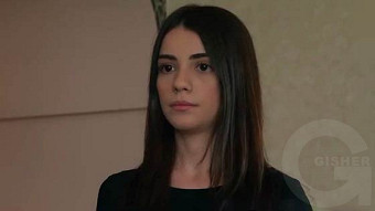 Shirazi varde - seria 109