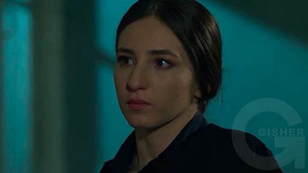 Shirazi varde - seria 107