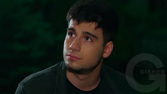 Shirazi varde - seria 108