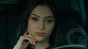 Shirazi varde - seria 110