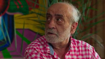 Shirazi varde - seria 116