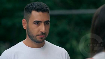 Shirazi varde - seria 117