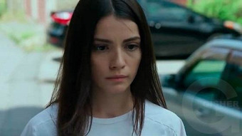 Shirazi varde - seria 118