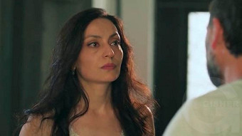 Shirazi varde - seria 120