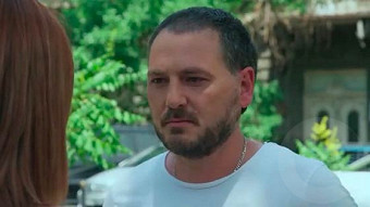 Shirazi varde - seria 113