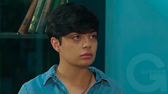 Shirazi varde - seria 124