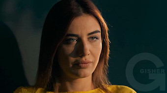 Shirazi varde - seria 130