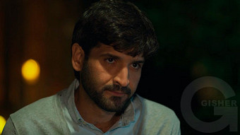 Shirazi varde - seria 172