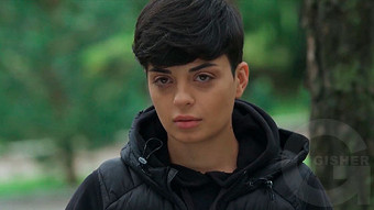 Shirazi varde - seria 173