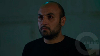 Shirazi varde - seria 181