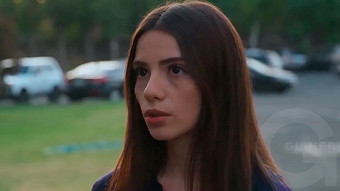 Shirazi varde - seria 179