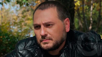 Shirazi varde - seria 184