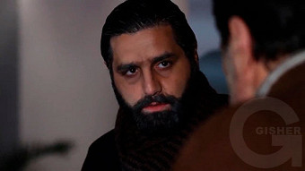 Veradardz - seria 41