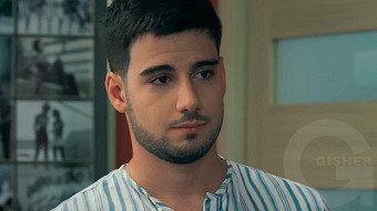 Shirazi varde - seria 137