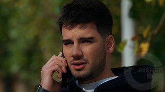 Shirazi varde - seria 189