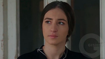 Shirazi varde - seria 196