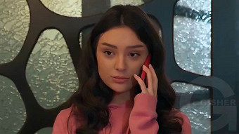 Shirazi varde - seria 203