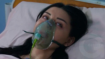 Shirazi varde - seria 200