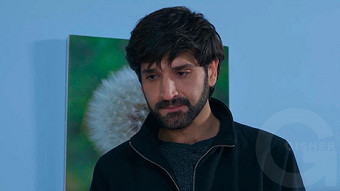 Shirazi varde - seria 199