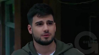 Shirazi varde - seria 72