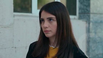 Shirazi varde - seria 73