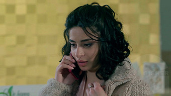 Tsaghikner dzyan tak - seria 28