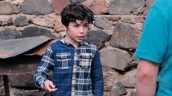 Feyq papa - seria 21