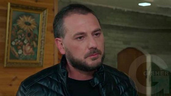 Shirazi varde - seria 77