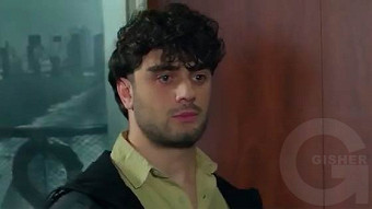 Shirazi varde - seria 78