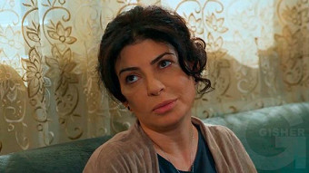 Shirazi varde - seria 143