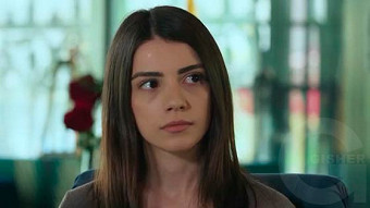 Shirazi varde - seria 89